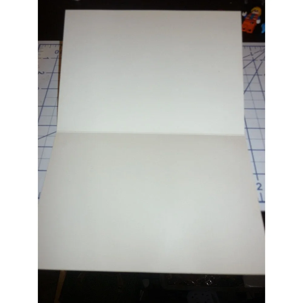 Vintage‎ 1983 Palm Press Liz Kahlenberg Bordow Photo Note Card Excesses of Life